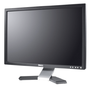 Dell Monitor 17